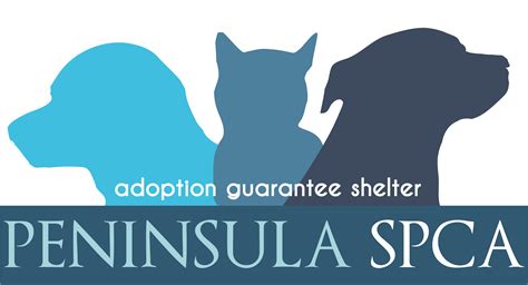 Peninsula spca - Spend a week with the Peninsula Humane Society & SPCA for an animal-themed summer camp! Well learn how pets can benefit our lives and instill compassion for local wildlife. Children will experience daily animal …